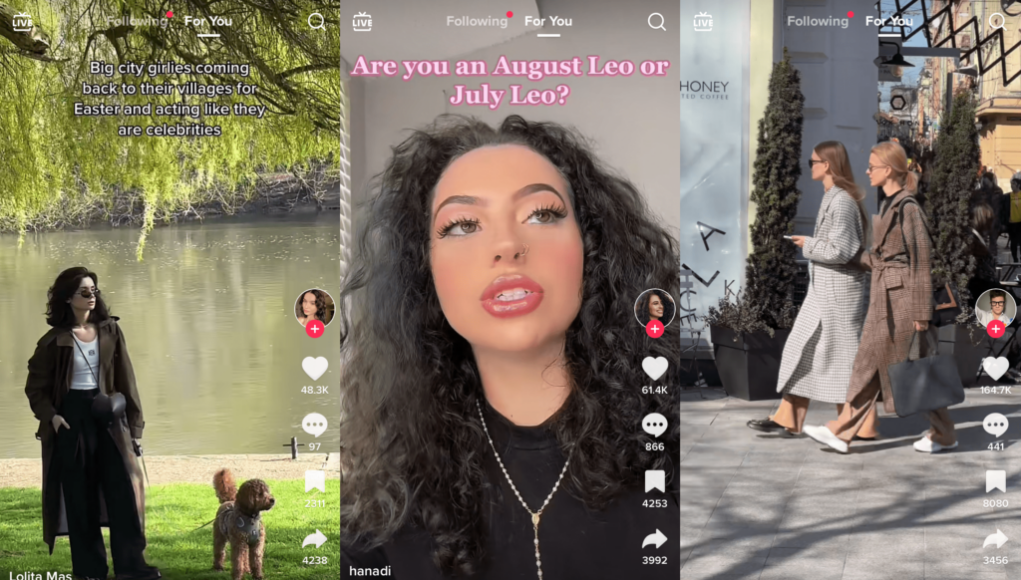 Come scaricare video TikTok sul PC