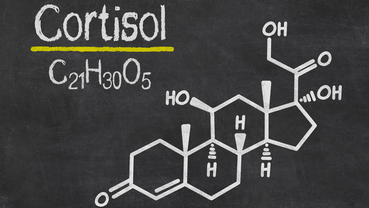 Cortisolo: come ridurre l’ormone dello stress in modo sicuro (guida completa)