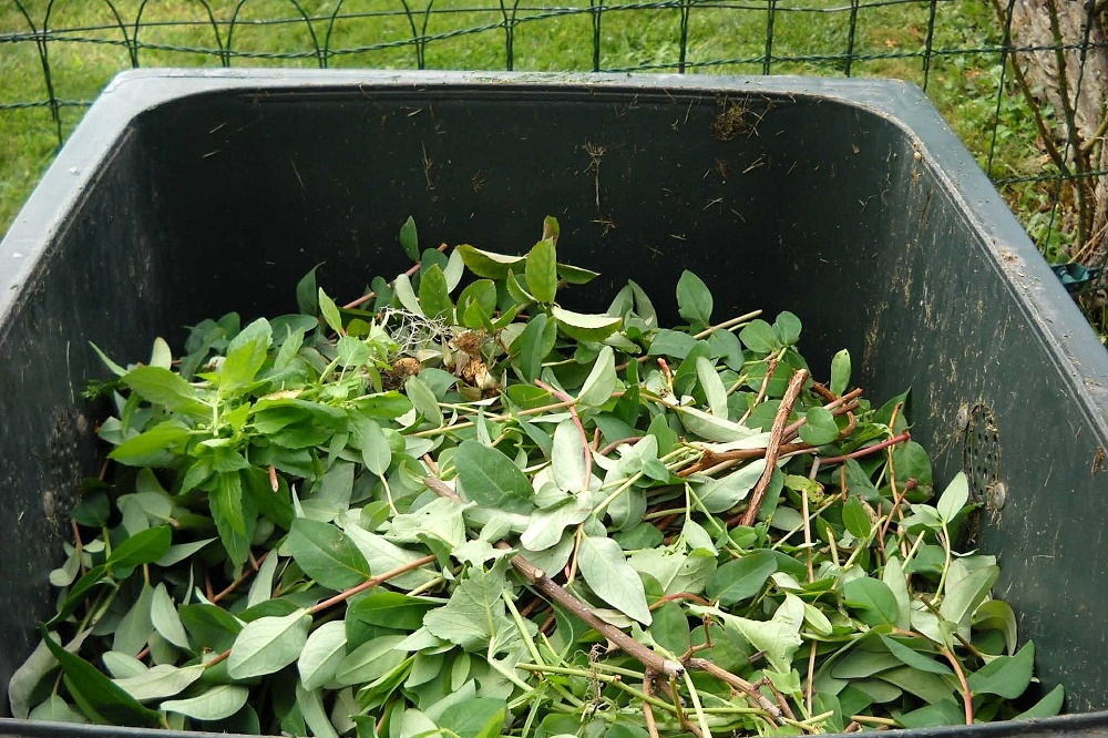 Come fare compostaggio domestico